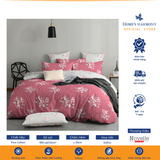  Bộ drap, áo gối kèm mền chần Cotton tổng hợp Novelle Home Pure Cotton 