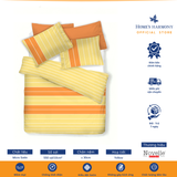  Bộ drap, áo gối kèm mền chần Micro Satin Novelle Home Urban Westin Stripe 