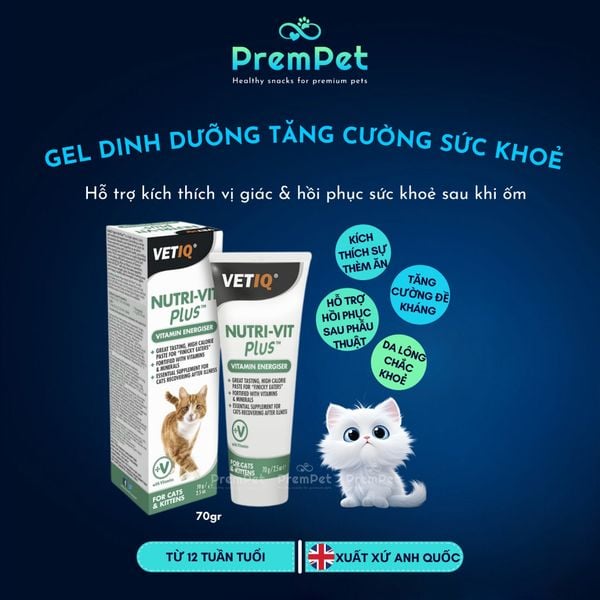  Combo Kích Vị Giác - Hết Biếng Ăn cho Mèo từ 3 tháng tuổi 