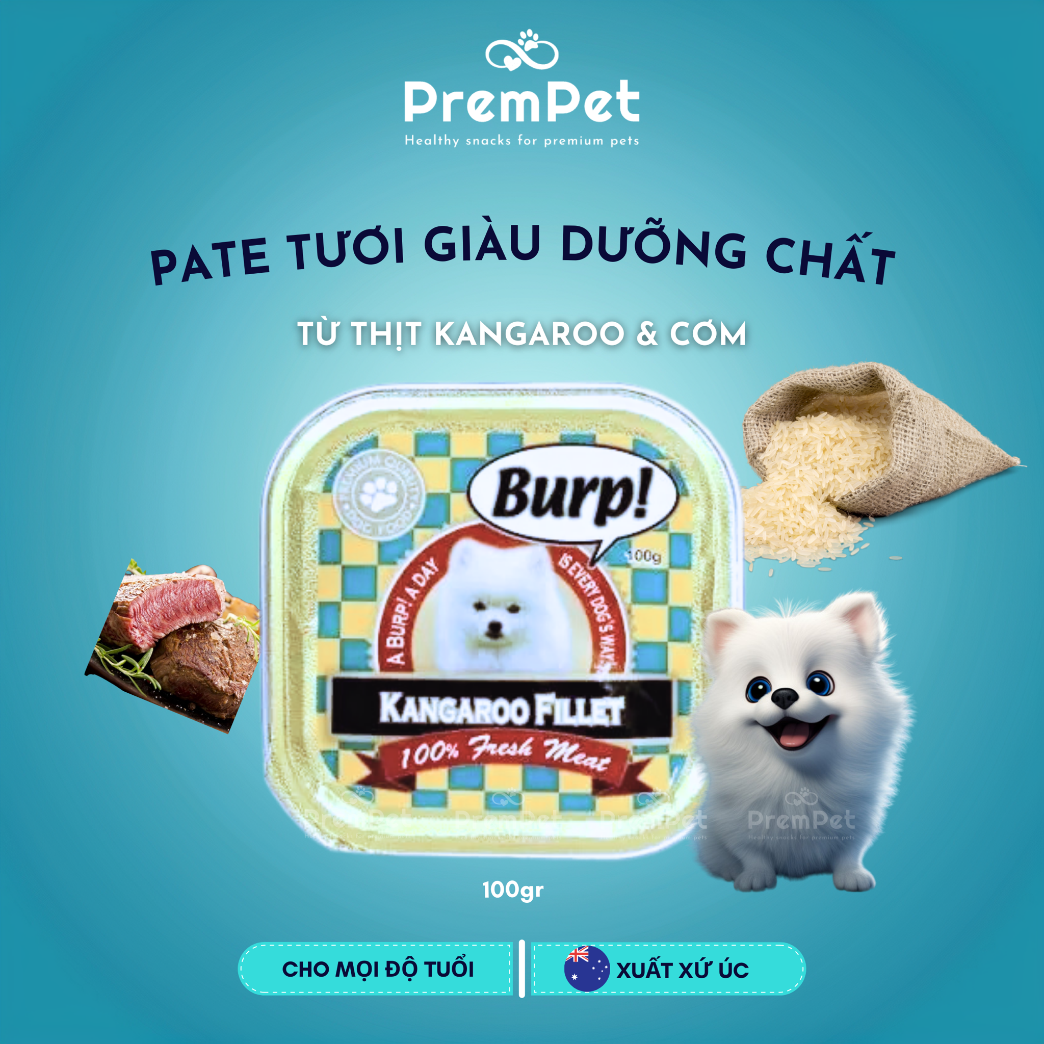  Pate - Burp - Từ Thịt Tươi Giàu Dinh Dưỡng - cho Chó - Hộp 100g 