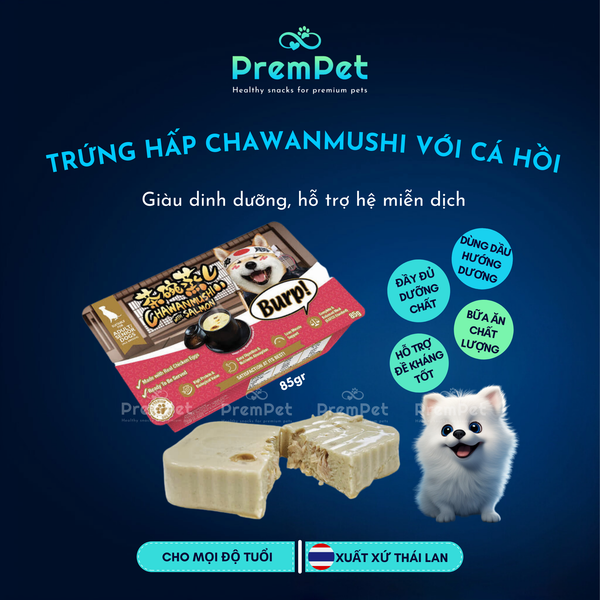  Pate - Burp -Trứng Hấp Với Cá Hồi - cho Chó - Hộp 85g [GIÁ ĐẶC BIỆT] 