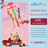  Spring Box 5in1 - Súp Thưởng - Chogong 5km Stick - Hỗ Trợ Sức Khoẻ Toàn Diện - cho Mèo - Hộp 5 thanh, 5 màu 5 vị, 14g/thanh 