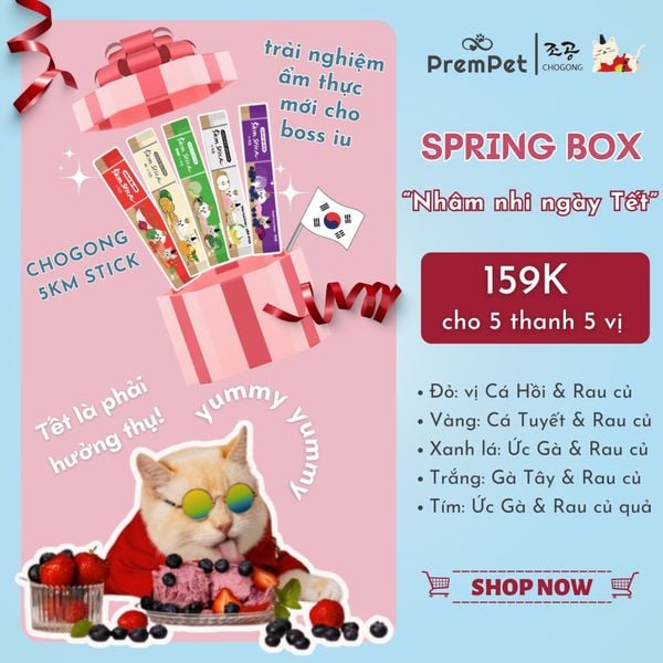  Spring Box 5in1 - Súp Thưởng - Chogong 5km Stick - Hỗ Trợ Sức Khoẻ Toàn Diện - cho Mèo - Hộp 5 thanh, 5 màu 5 vị, 14g/thanh 