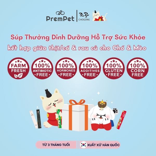  Spring Box 5in1 - Súp Thưởng - Chogong 5km Stick - Hỗ Trợ Sức Khoẻ Toàn Diện - cho Chó - Hộp 5 thanh, 5 màu 5 vị, 14g/thanh 