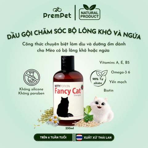 Nhóm thiên nhiên thuần chay cho Mèo