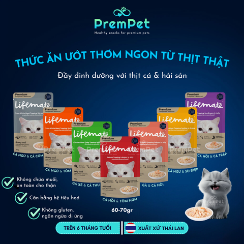 Thức ăn ướt cho Mèo (Cat Wet Food)