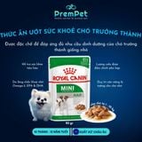  Thức Ăn Ướt - Royal Canin - Hỗ Trợ Sức Khoẻ Tiêu Hoá & Da Lông - cho Chó Trưởng Thành Giống Nhỏ - Túi 85g 