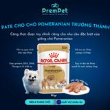  Pate - Royal Canin - Hỗ Trợ Sức Khoẻ Xương Khớp - cho Chó Trưởng Thành Giống Pomeranian - Túi 85g 