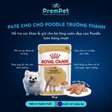  Pate - Royal Canin - Hỗ Trợ Sức Khoẻ Da Lông - cho Chó Trưởng Thành Giống Poodle - Túi 85g 