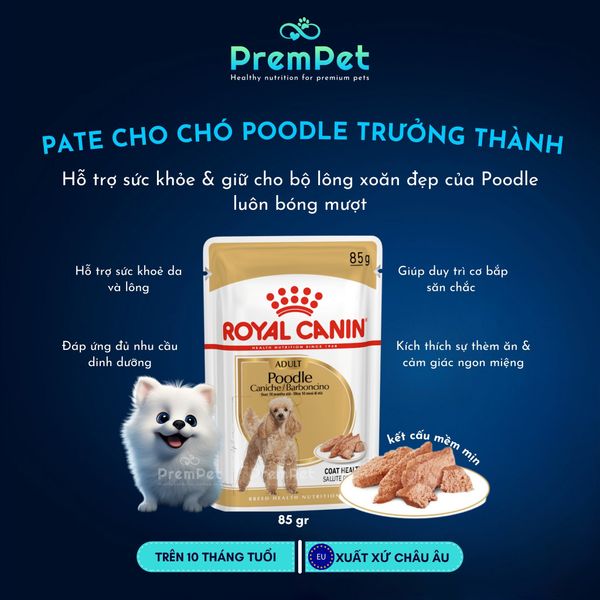  Pate - Royal Canin - Hỗ Trợ Sức Khoẻ Da Lông - cho Chó Trưởng Thành Giống Poodle - Túi 85g 