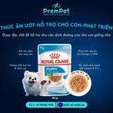  Thức Ăn Ướt - Royal Canin - Hỗ Trợ Phát Triển Khoẻ Mạnh - Vị Gà - cho Chó Con Giống Nhỏ - Túi 85g 