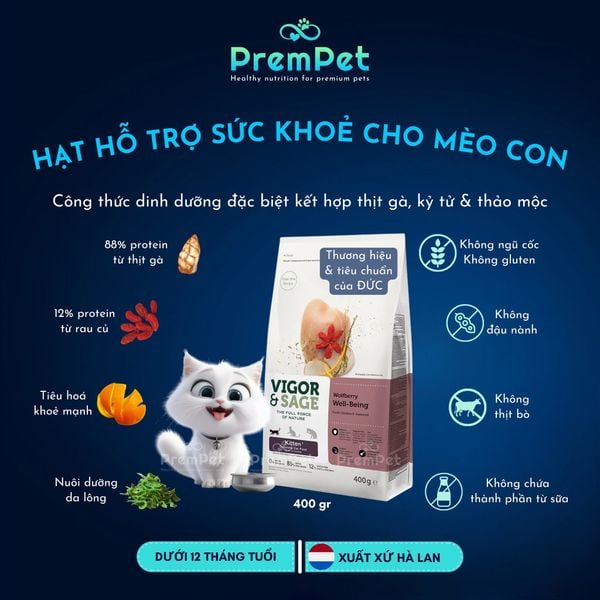  Thức Ăn Hạt - Vigor & Sage - Hỗ Trợ Phát Triển Khoẻ Mạnh - Vị Kỷ Tử - cho Mèo con - Túi 400g 
