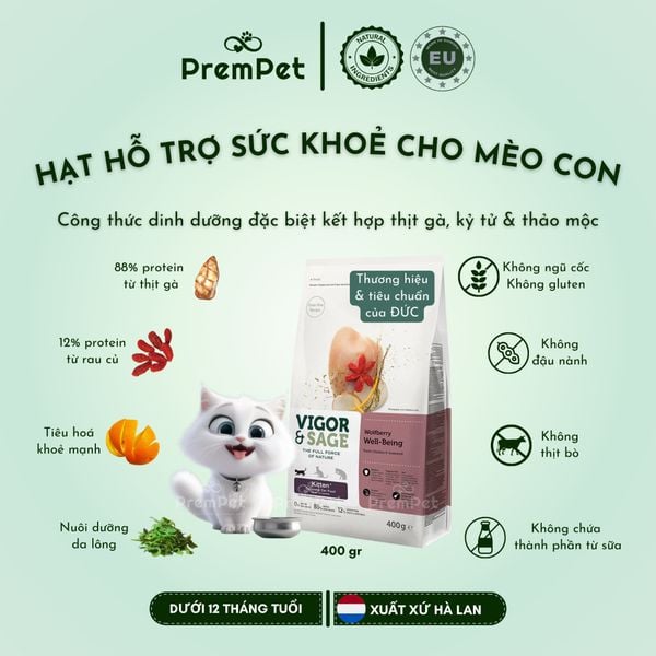  Thức Ăn Hạt - Vigor & Sage - Hỗ Trợ Phát Triển Khoẻ Mạnh - Vị Kỷ Tử - cho Mèo Con - Túi 400g 