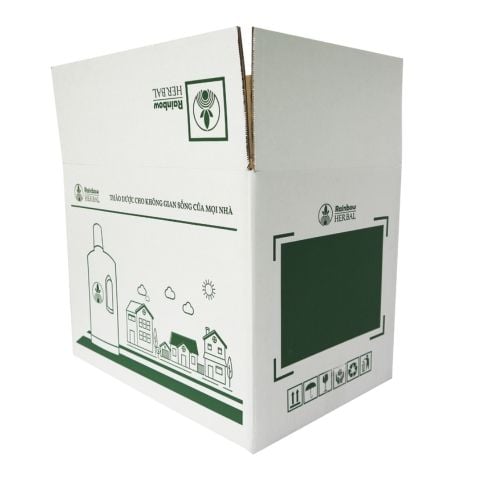  Thùng carton 5 lớp in flexo 44x30x33 TT02 