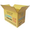 Thùng carton 5 lớp in flexo 47x28x31 TT03