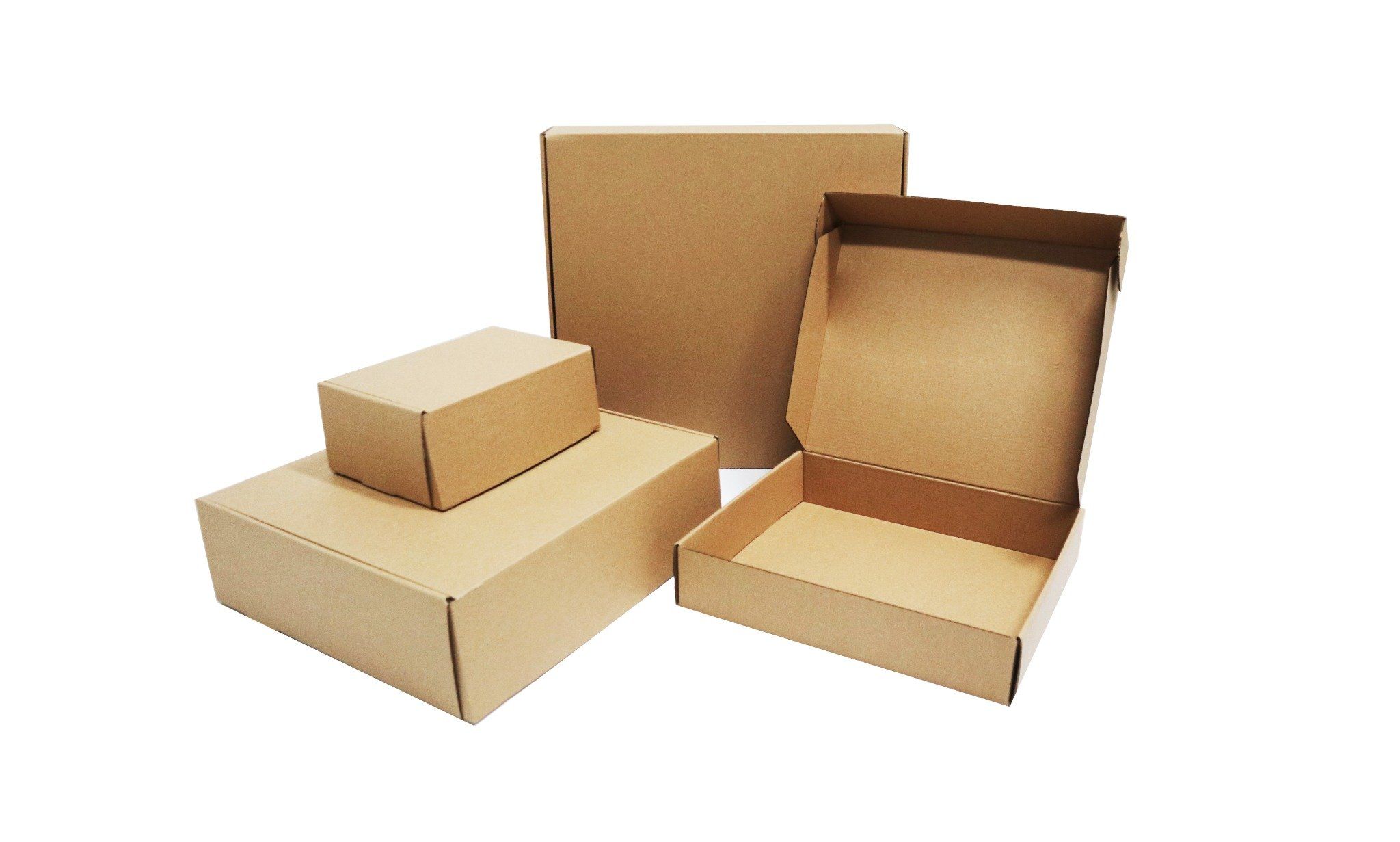  Hộp nắp gài 3 lớp 30x21x7cm CS16 