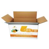  Thùng carton in offset 44.5x27x27cm tại TPHCM 