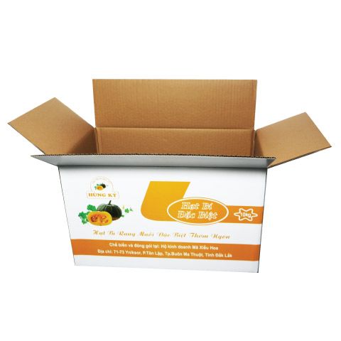  Thùng carton in offset 44.5x27x27cm tại TPHCM 