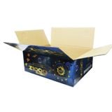  Thùng carton in offset 31x20.3x12.3cm tại TPHCM 