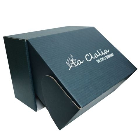 Hộp nắp gài in phủ nền 3 lớp 21.5x15.5x9.5cm NG2 