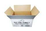  Thùng carton 5 lớp in flexo 52x38.5x28.5cm FL01 