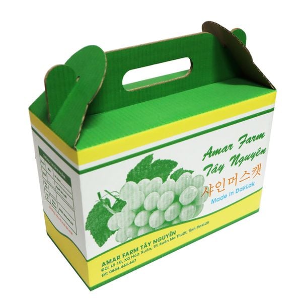 Hộp carton quai xách in theo yêu cầu