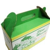  Hộp carton có quai xách 33x15x22cm QX2 đựng trái cây, nông sản 