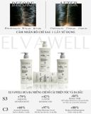  Dầu gội giảm gàu siêu suôn mượt Elvawell 500ml 