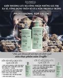  Dầu xả giảm rụng tóc sạch dầu bết Elvawell 500ml 