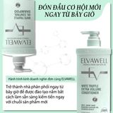  Dầu gội giảm rụng tóc sạch dầu bết Elvawell 500ml 