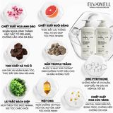  Dầu gội giảm gàu siêu suôn mượt Elvawell 500ml 