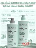  Dầu xả giảm rụng tóc sạch dầu bết Elvawell 1000ml 