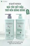  (500ml) Cặp dầu gội giảm rụng tóc sạch dầu bết Elvawell 