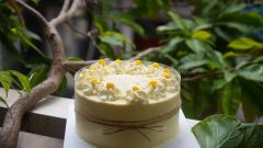 Bánh kem bắp 4