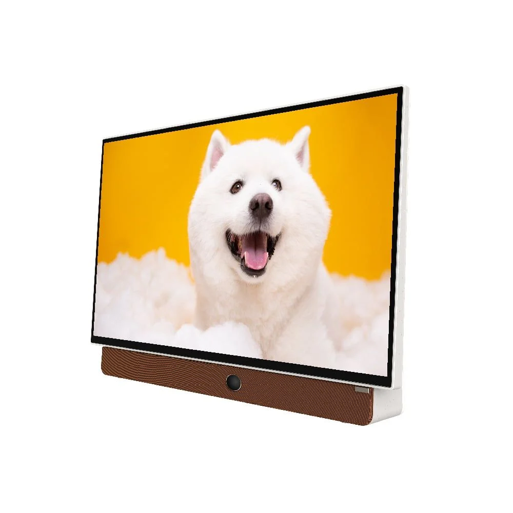 Google Tivi Xách Tay Di Động Full HD Coocaa 24 Inch 24LP6000G