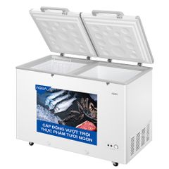Tủ Đông Aqua AQF-C5702S 365 Lít