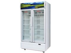 Tủ mát Sanaky Inverter 1000 lít VH-1009HP