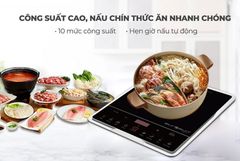 Bếp từ EU-T185S 1 vùng nấu bảng điều kiển thông minh kính cường lực