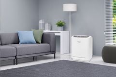 Máy lọc không khí Panasonic F-P15EHA