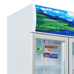 Tủ mát Sanaky 500 lít VH-6009HP