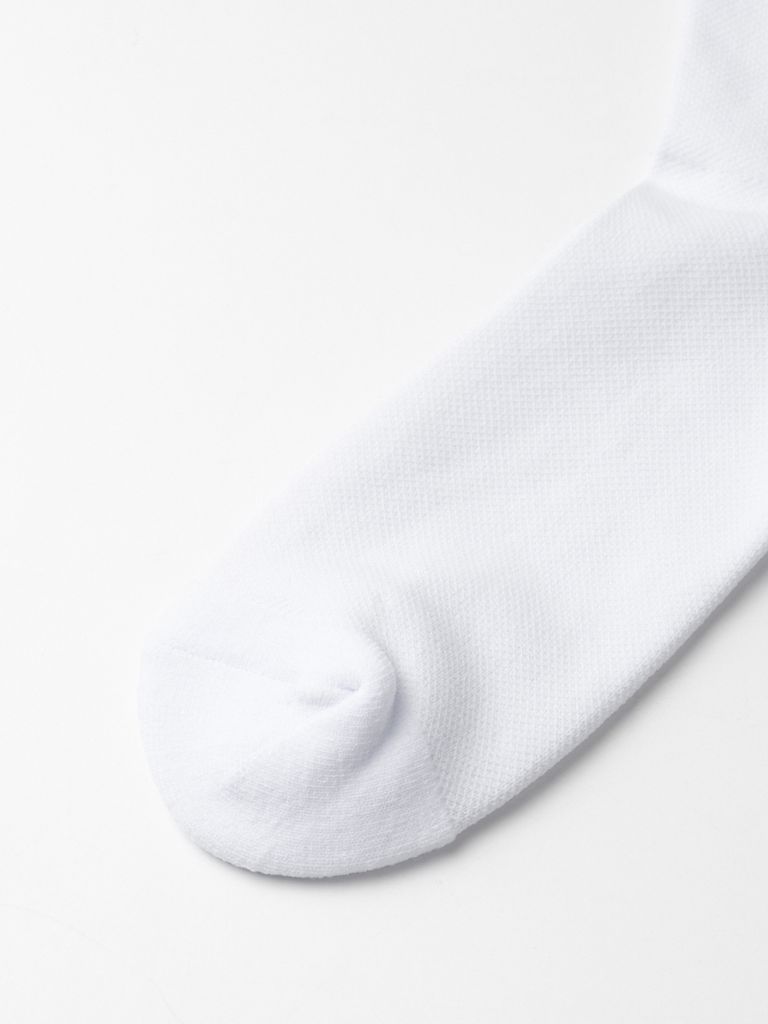 UTAA Logo Knee Socks : White