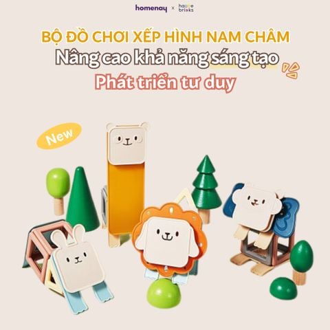 Bộ đồ chơi xếp hình nam châm HaaveBricks cho bé