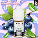SALTNIC CABALLO Blueberry Aloe Vera 30ml (VIỆT QUẤT NHA ĐAM) - Tinh Dầu Saltnic Chính Hãng