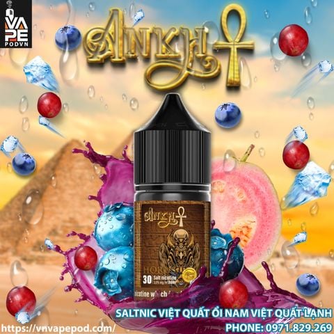 saltnic-ankh-horus-30ml-tinh-dau-saltnic-02_49a5482528ce49dbaaed1e8f901022bb_large.jpeg