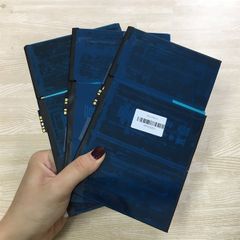 Pin Ipad 2 (A1395-A1396-A1397 / 2011)