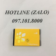 Pin Blackberry 8100/ 8110/ 8120/ 8130/ 8220/ 8230/ CM2