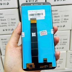 Màn hình full new Nokia C1 2019 (đen)