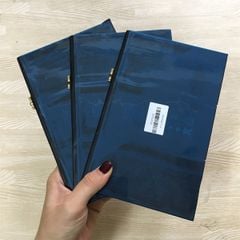 Pin Ipad mini 1 (A1432-A1454-A1455 / 2012)