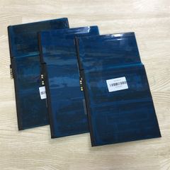 Pin Ipad 2 (A1395-A1396-A1397 / 2011)