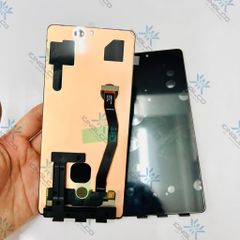Màn hình Samsung S10 Lite / G770 / S10 Lite OLED